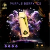 Ace Ultra Purple Berry Ice Disposable Vape – Earthy Berry Flavor with Tropical and Icy Notes for a Relaxed and Peaceful Effect