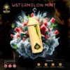 Ace Ultra Watermelon Mint Disposable Vape – Refreshing Blend of Sweet Watermelon and Cool Mint